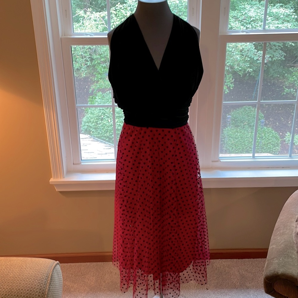 Fantastic , fun dress!